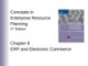Bài giảng Concepts in Enterprise Resource Planning (2nd Edition) - Chương 8: ERP and Electronic Commerce